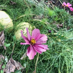 Jaypee - Magic Prod. BlackMayo