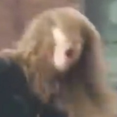 TURNING ON DATA/GET - A.I. mashup