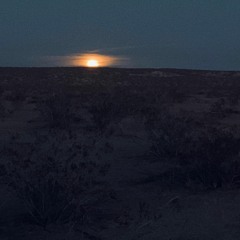 Joe Pleniukas Dec 2018 Moontribe