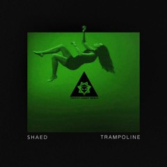 SHAED - Trampoline (Tripzy Leary Remix)