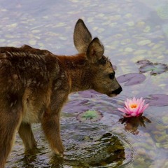 Convolk, Guardin, 9tails - Whatever it takes (Slowed + Bass Boosted) by Double Zero