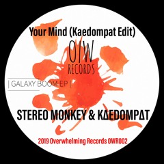 Stereo Monkey & Kaedompat - Your Mind (Kaedompat Edit)