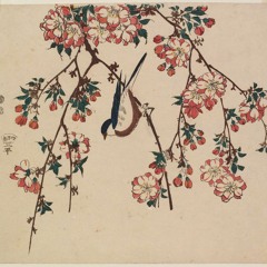 Northwoods + droney drone ~~** Disquiet0368