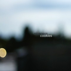 Public Service Announcement (ohniceness Remix)