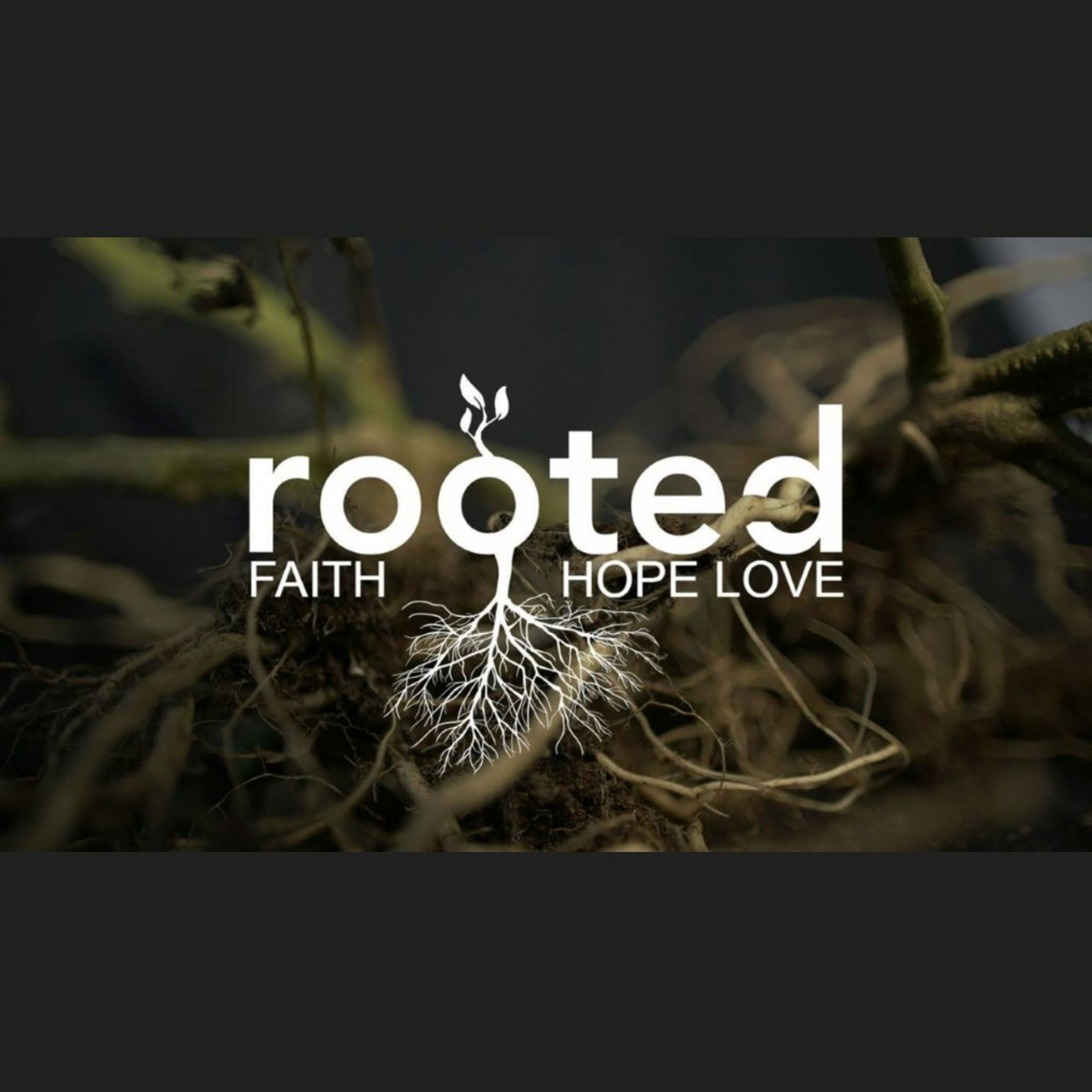 Rooted: Rooted in Love episode artwork
