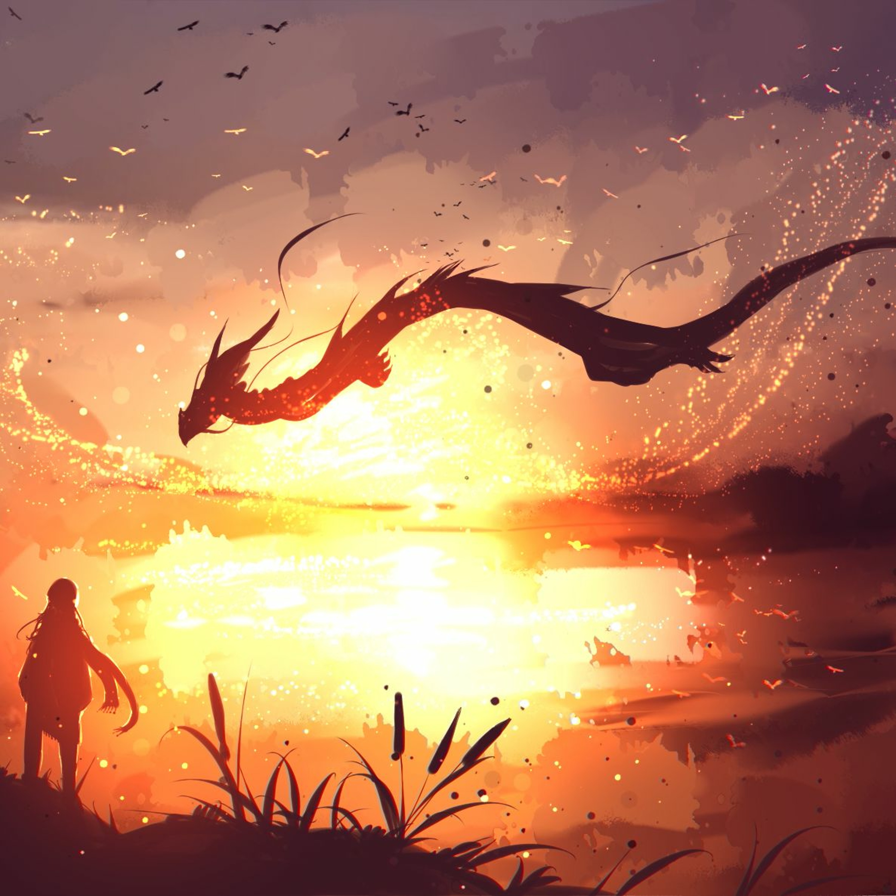 Illusion episode artwork