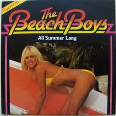 The Beach Boys - All summer long (Rich Morgan bootleg)