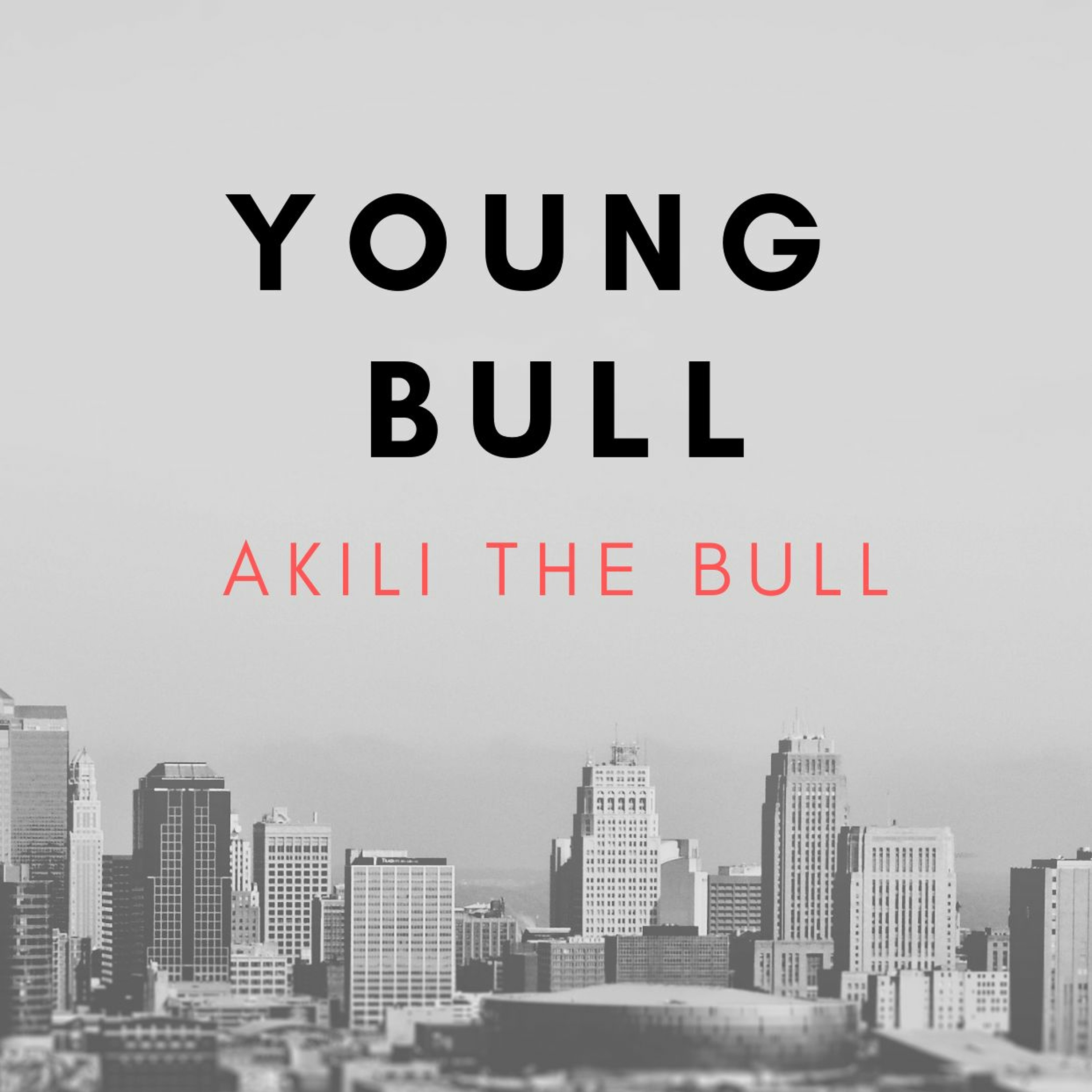Akili The Bull