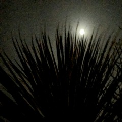 late night ponderings