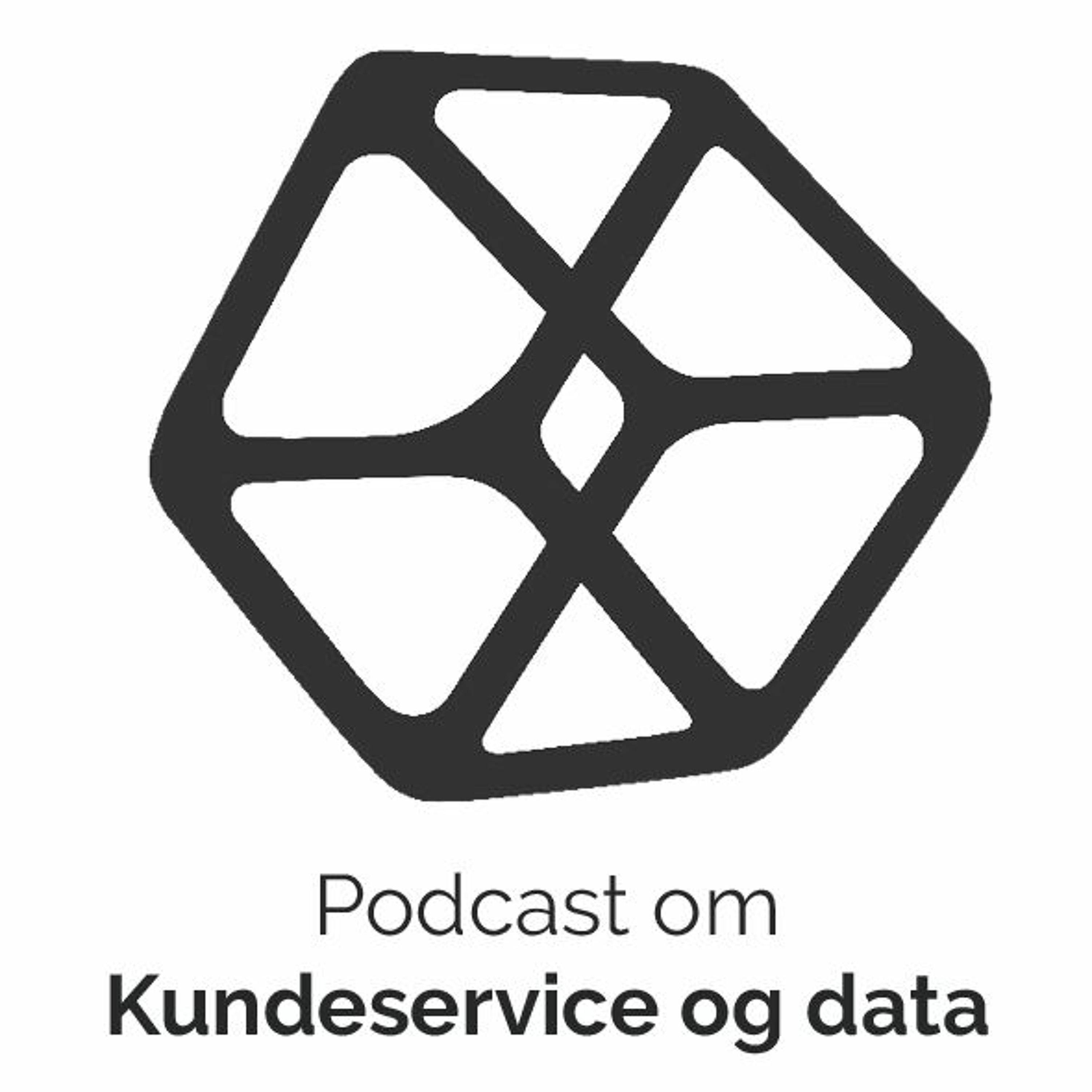 Kundeservice og data Podcast Teknologi og data podcast Podcast