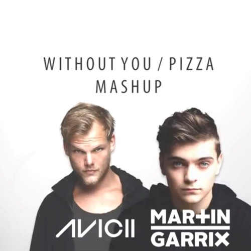 Martin Garrix - Pizza Vs Avicii - Without You ( Alexsio Mashup )