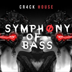 Symphony Of Bass (Original Mix)