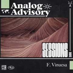 Analog Advisory Sessions 005: F. Vinuesa