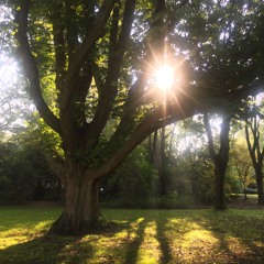 Licht Meditatie