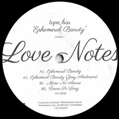 SB PREMIERE: Tape Hiss - Mono No Aware [Love Notes from Brooklyn]