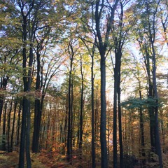 Meditatie voor energetische zuivering