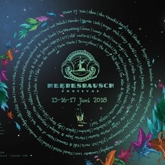 Enea Lu - Meeresrausch-Festival 2018 - Schipp An Land [Sat. 5 a.m]