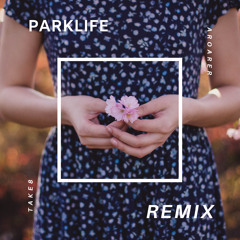 Park Life (The Remix)