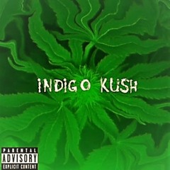 INDIGO KUSH