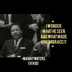 Vivid Freeverse 006