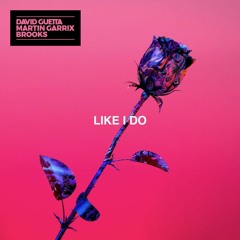 David Guetta, Martin Garrix & Brooks - Like I Do (Shofsta Remix)