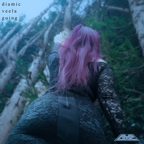 Diamic & Veela - Going