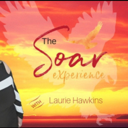 Stream Bubbles & Brilliance Book Exploration on Belonging Laurie