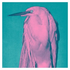 Premiere: Joannes - Got Needs (Melatonin Man Remix) [Something Happening Somewhere]