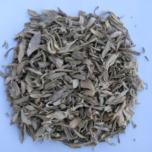 Hojarasca