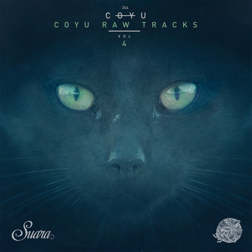 Coyu - Practical Disorder Compulsory (Coyu Raw Mix)