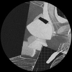 V/A - LF004 (12" Snippets)