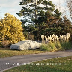 Nathan Shubert - When You Take Off Your Shoes