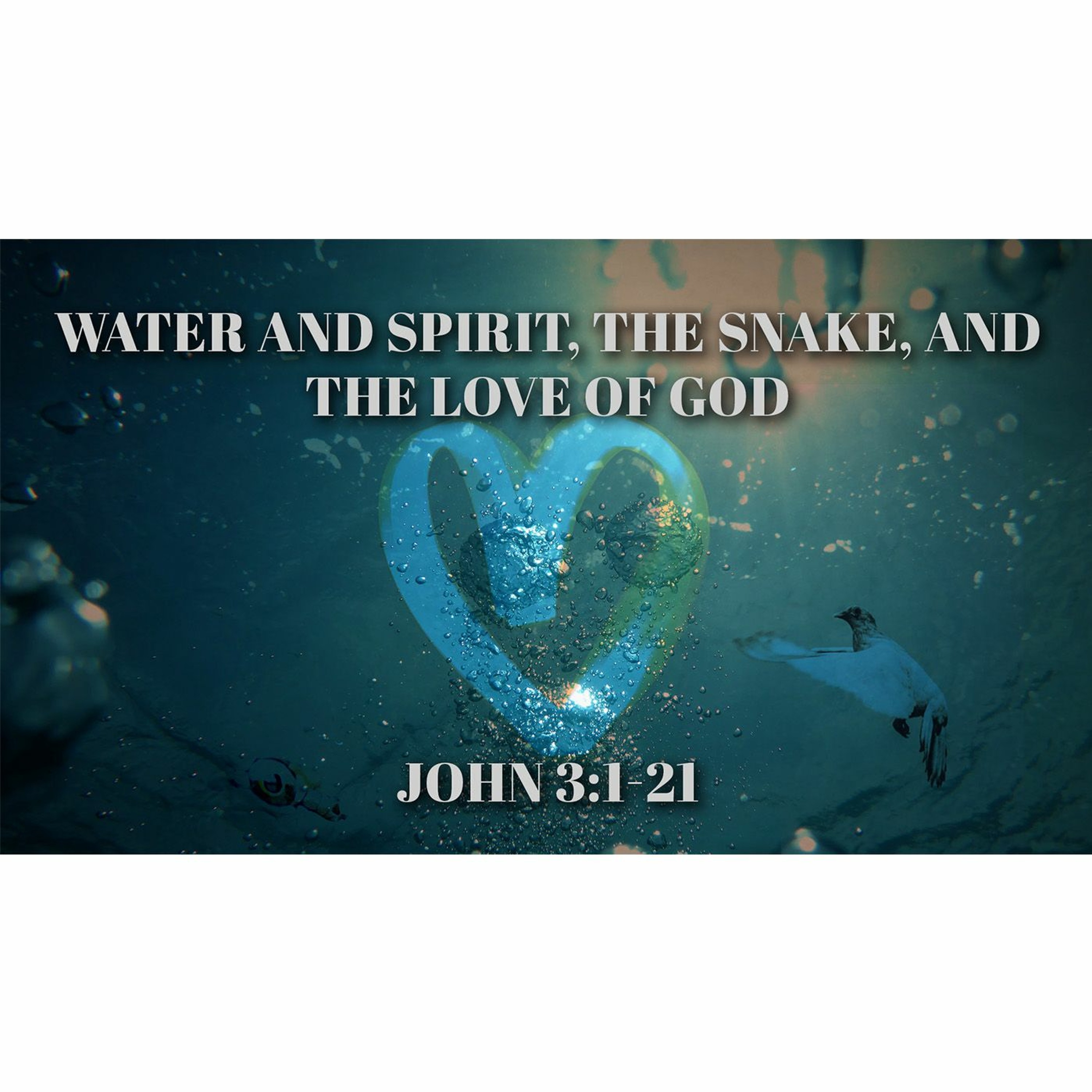 Water and Spirit, the Snake, and the Love of God - Sermon 01.20.19 episode artwork