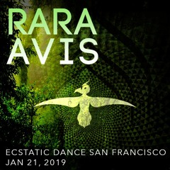 Ecstatic Dance San Francisco 01-2019
