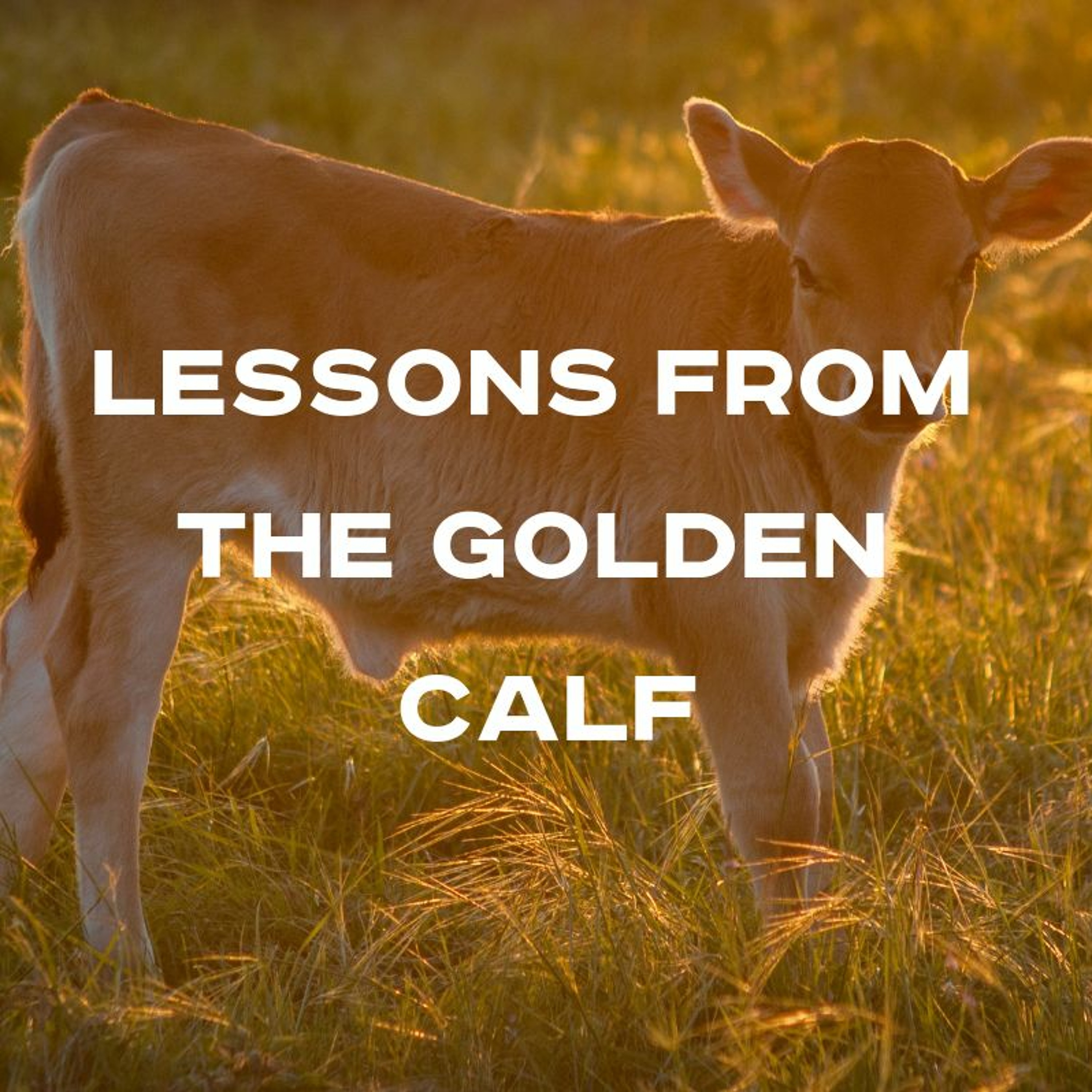 01-09-19w - Josh Pennington - Lessons From The Golden Calf episode artwork
