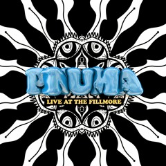 PNUMA LIVE AT THE FILLMORE - NEW YEARS 2018 / 2019