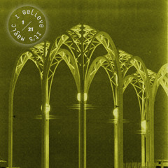 I Believe It's Magic 1/21/19