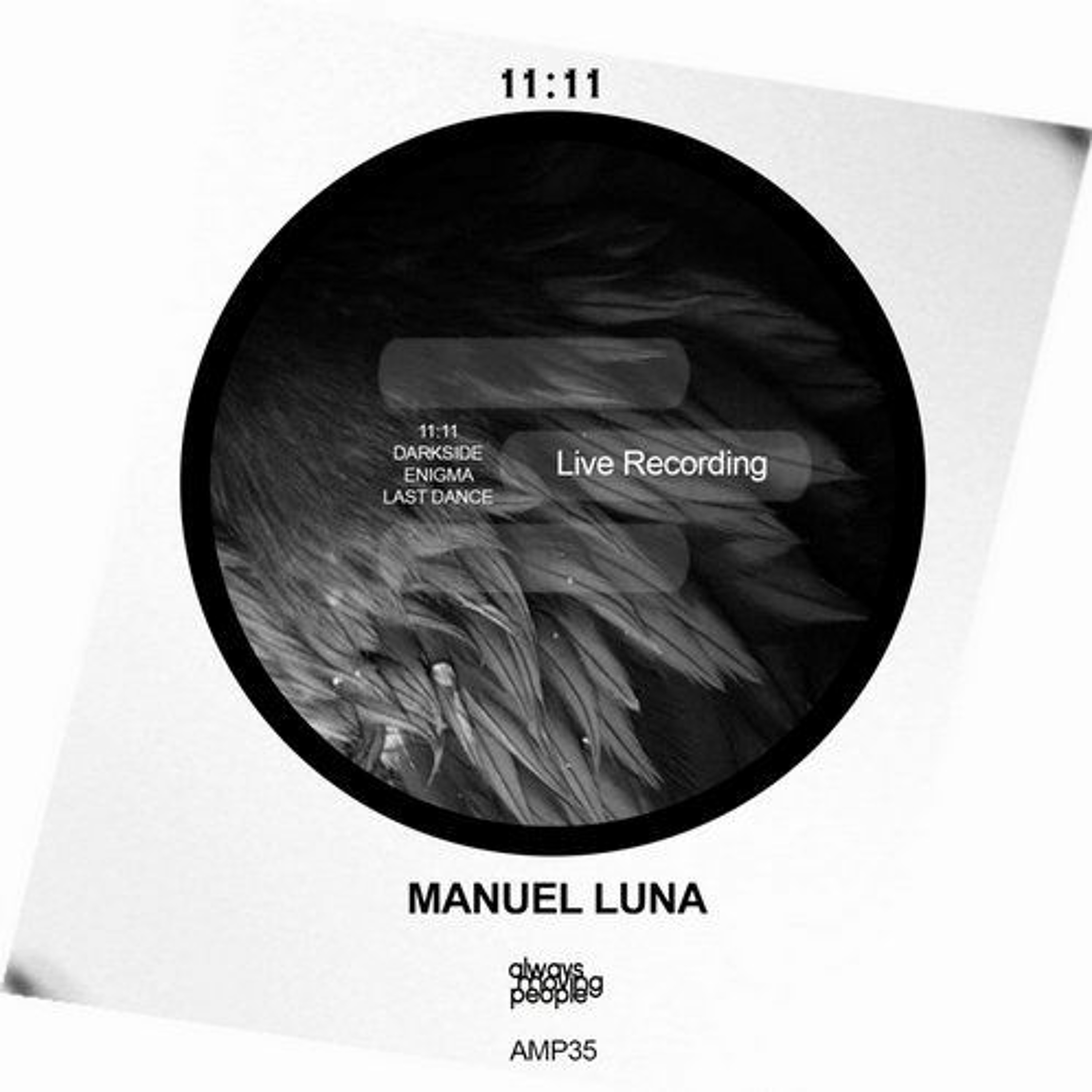 Manuel Luna