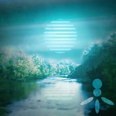 The Night We Met