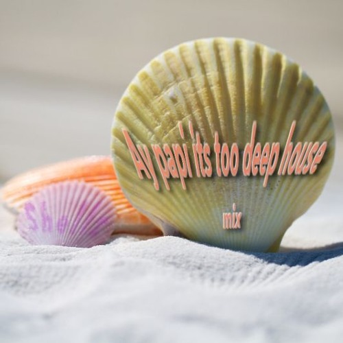 Ay Papi Its Too Deep House