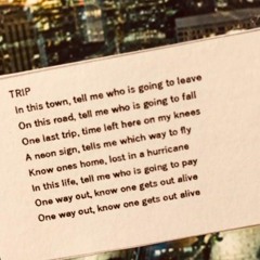 03 TRIP