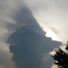 The Sexy Purge - Copyrights@EstebanOjeda2018