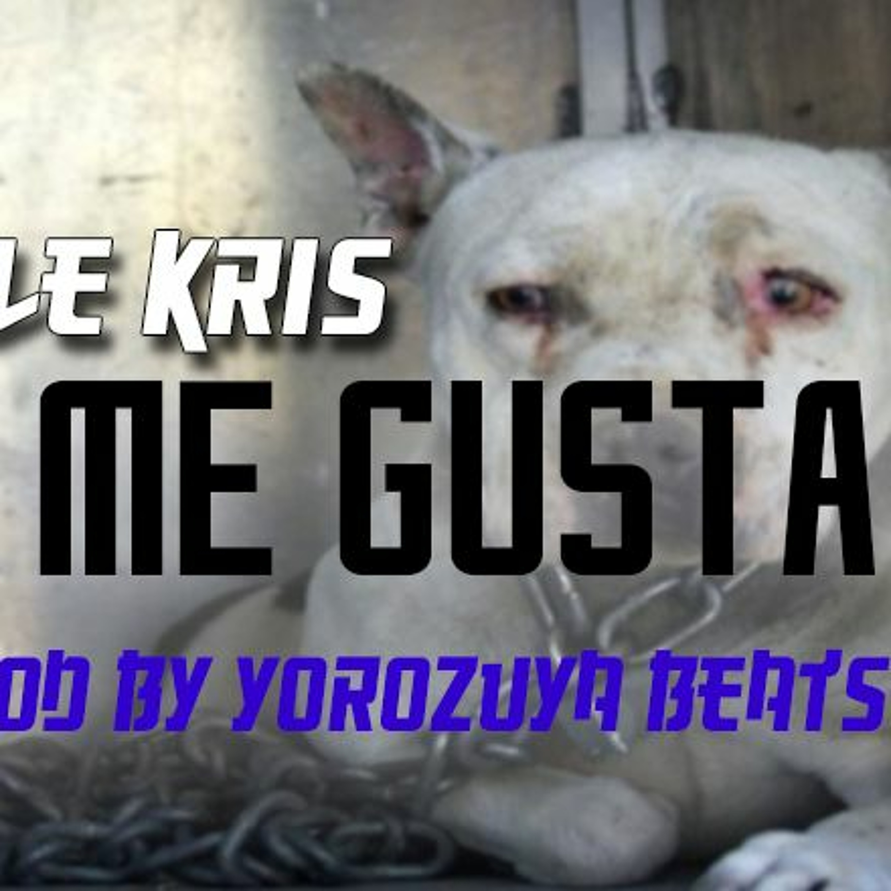 YOROZUYA BEATS