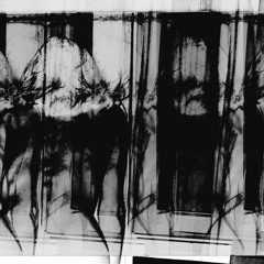 Opus 4 : : Piano : : Małgorzata Walentynowicz (2014)