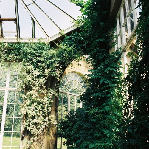 The Greenhouse