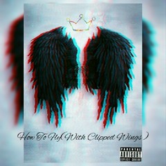 How To Fly(With Clipped Wings)