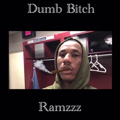 Dumb Bitch