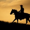 Back In The Saddle Again Mp3
