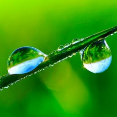 Rain Sound For Sleeping (75 Minutes)