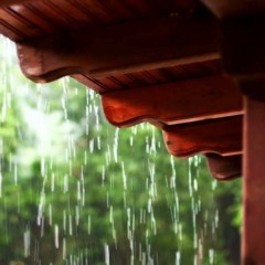 Rain On A Tin Roof (75 Minutes)